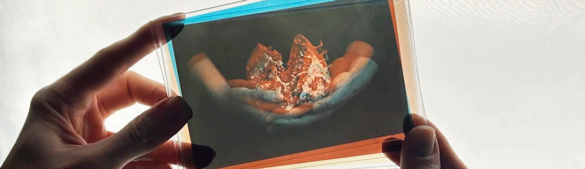 Цветная цианотипия на стекле