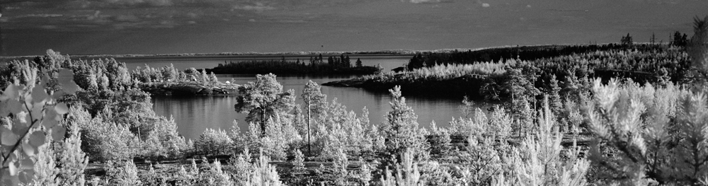 Инфракрасная фотография