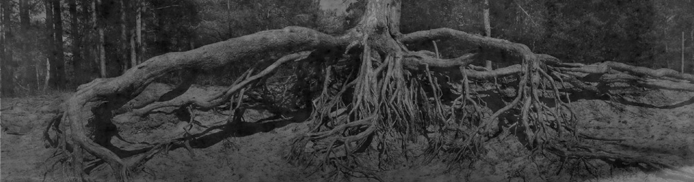 Катя Берестова