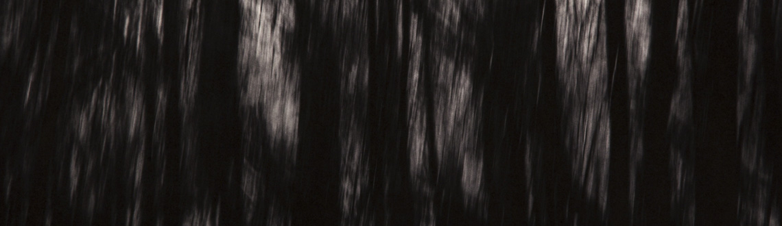 Каллитипия